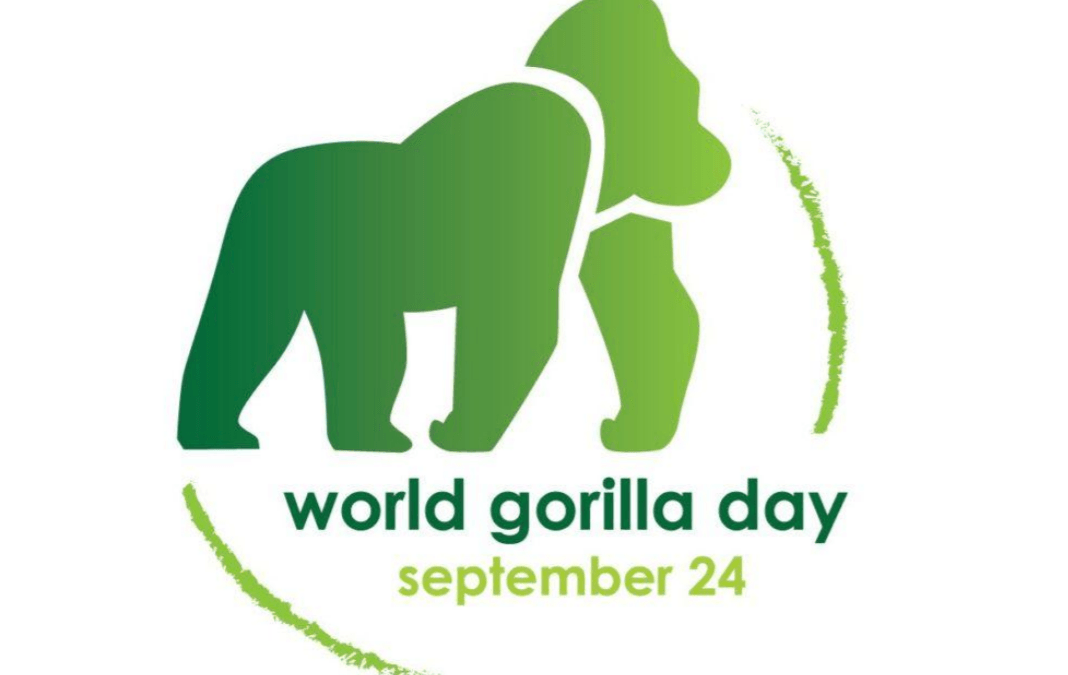 World Gorilla Day