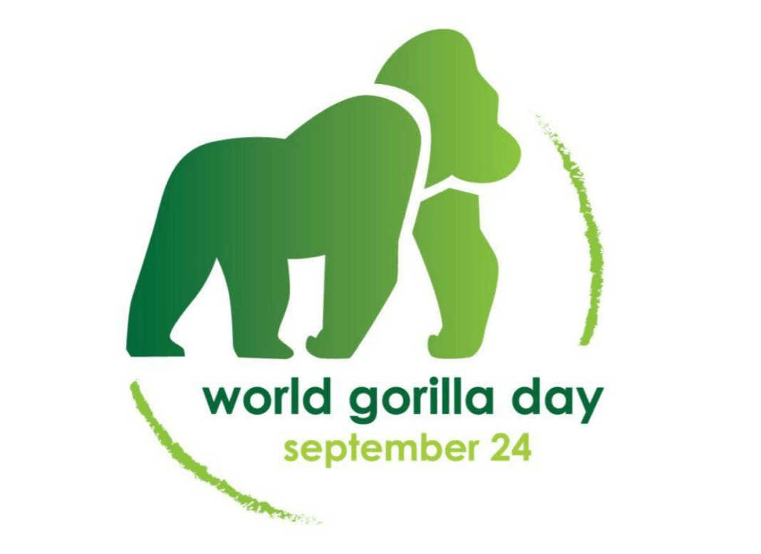 World Gorilla Day