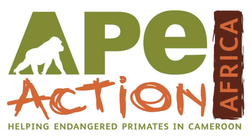 Ape Action Africa