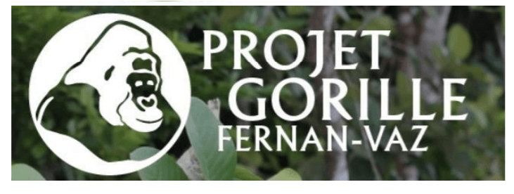 Fernan-Vaz Gorilla Project