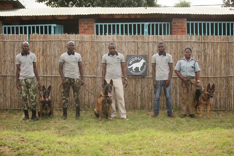 Members of the Lilongwe Wildlife Trust Dog Unit